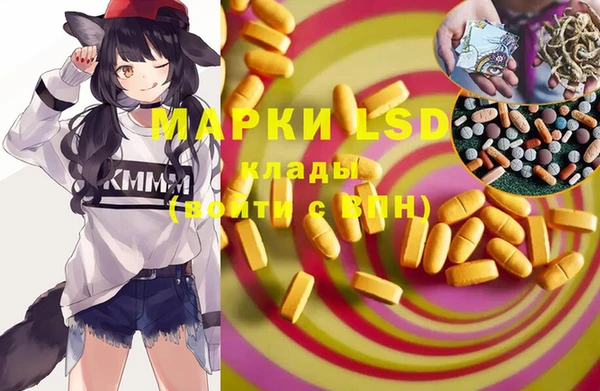 тгк Шали