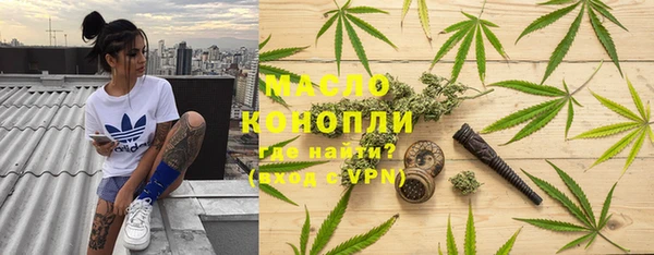 сатива Михайлов