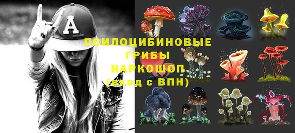 ECSTASY Михайловск