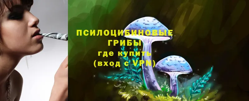 Псилоцибиновые грибы MAGIC MUSHROOMS  Мичуринск 