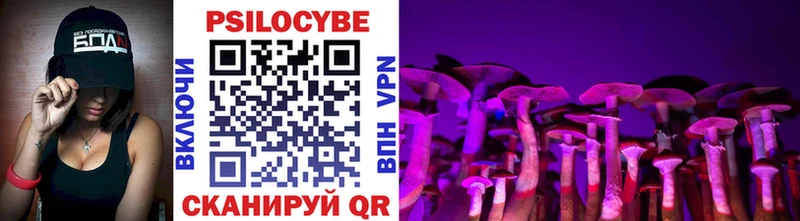 Галлюциногенные грибы Cubensis  Мичуринск 