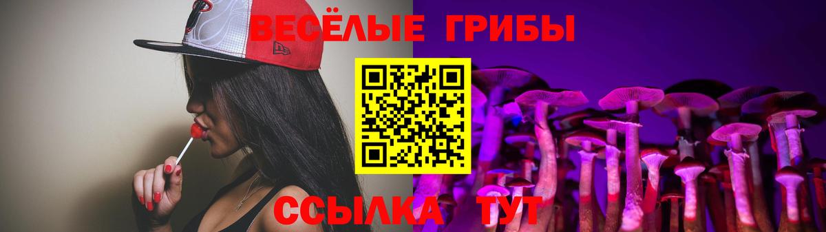 Псилоцибиновые грибы мухоморы  Мичуринск  купить наркотик  Псилоцибиновые грибы мицелий 