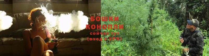 где найти наркотики  Мичуринск  Конопля SATIVA & INDICA 